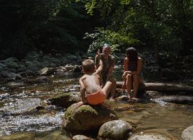 site thumbnail