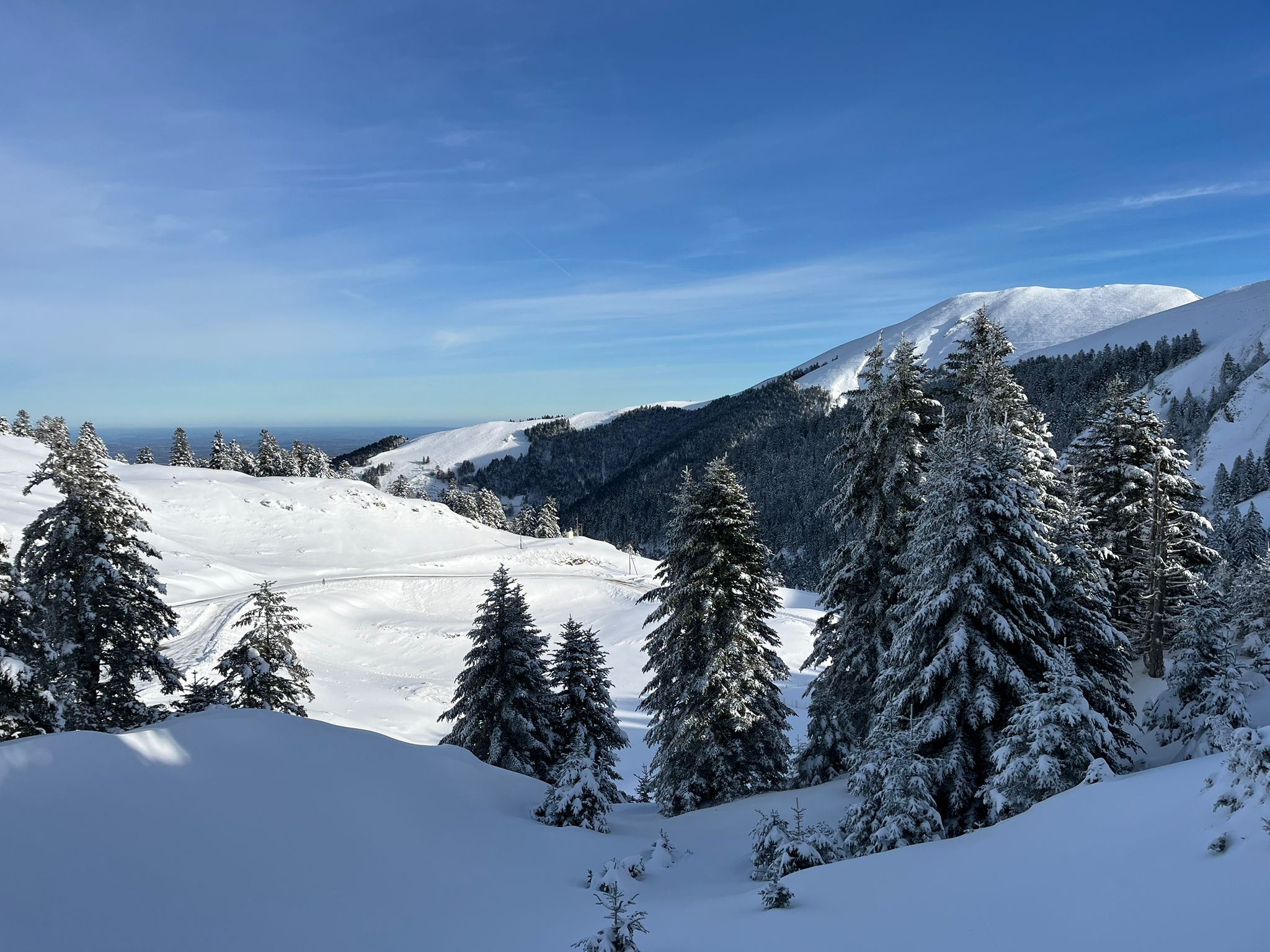 Ski Cocooning