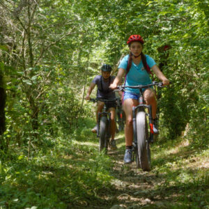 VTT