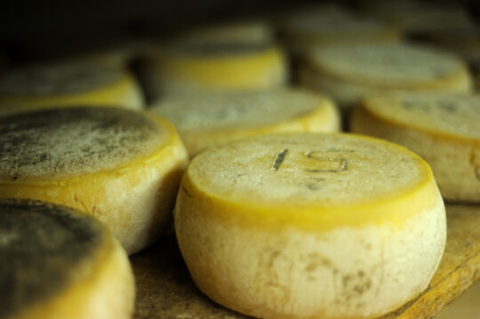 fromage le barousse (3)