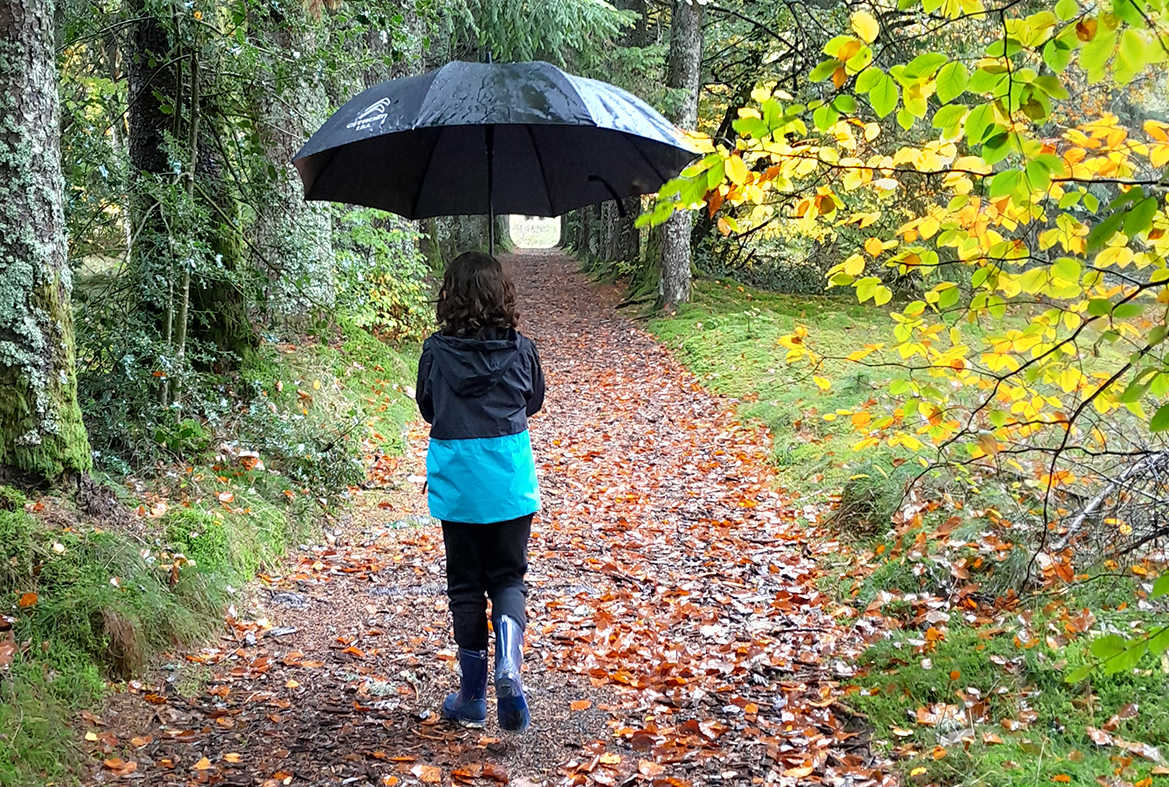 rando automne parapluie